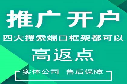 百度优化推广案例：关键词优化与SEO策略